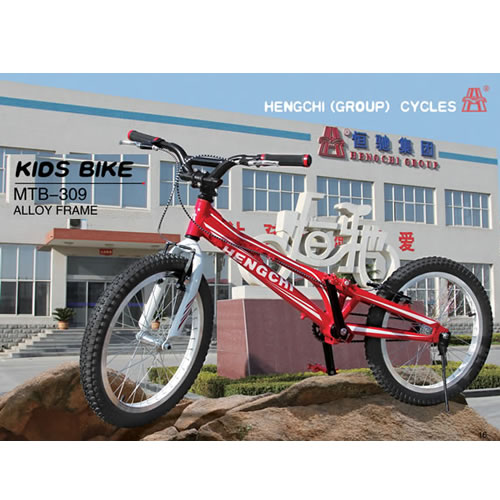 童車BMX-309