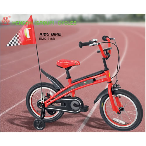 童車BMX-315B