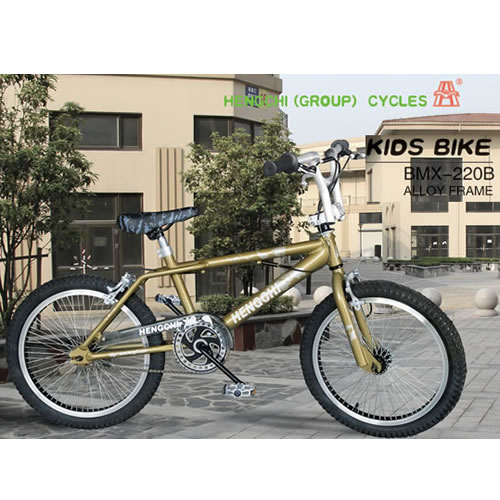 童車BMX-220B
