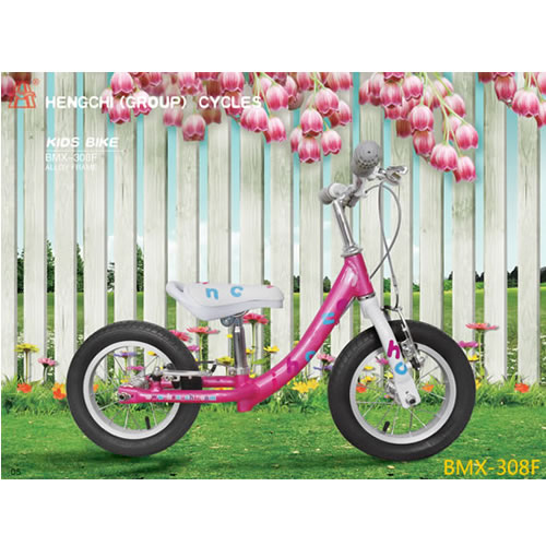 童車BMX-308F